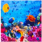 Norimpex Diamantové malování Život na útesu 30 x 40 cm – Sleviste.cz