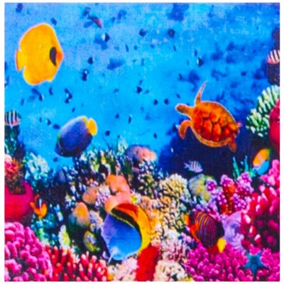 Norimpex Diamantové malování Život na útesu 30 x 40 cm – Sleviste.cz