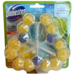 Domestos Power 5 tuhý závěsný WC blok Lime 3 x 55 g – Zboží Mobilmania