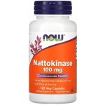 Now Foods Foods Nattokinase 100 mg 120 kapslí – Hledejceny.cz