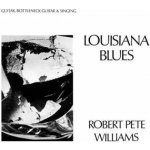 Robert Pete Williams - Louisiana Blues LTD LP – Hledejceny.cz