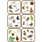 Asmodee Dobble – Zboží Mobilmania