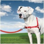 PetSafe Postroj EasyWalk – Zboží Dáma PetSafe Postroj EasyWalk – Zboží Dáma