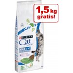 Cat Chow Kitten kuře 15 kg – Sleviste.cz