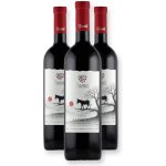 Danieli Winery SAPERAVI polosladké červené víno 14,5% 3 x 0,75 l (holá láhev) – Hledejceny.cz