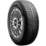 Cooper Discoverer Winter 255/50 R19 107V | Zboží Auto
