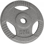 Physionics Litinový kotouč, 5 kg 31 mm – Zboží Mobilmania