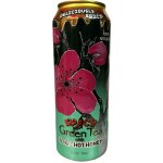 Arizona Spicy Green Tea with Mike's Hot Honey 0,65 l – Zbozi.Blesk.cz