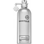 Montale Ginger Musk parfémovaná voda unisex 100 ml – Hledejceny.cz