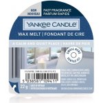 Yankee Candle A CALM & QUIET PLACE Vosk do aromalampy nový 2021 22g – Hledejceny.cz