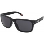 Oakley OO9102 9102E8 – Zbozi.Blesk.cz