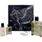 Hermés Terre D'Hermés EDT 100 ml + EDT 12,5 ml + balzám po holení 40 ml dárková sada – Hledejceny.cz