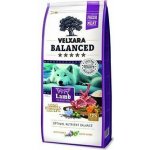 Velxara Balanced FM Dog Adult Monoprotein Lamb & Rice 12 kg – Hledejceny.cz
