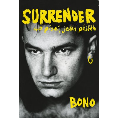 Surrender: 40 písní, jeden příběh – Sleviste.cz