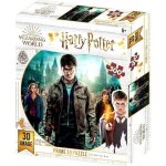 SPA 3D puzzle Harry Potter Harry, Hermiona a Ron 300 ks – Zboží Mobilmania