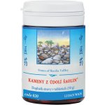 TCM Herbs Kameny z údolí Šaolin 100 tablet – Hledejceny.cz