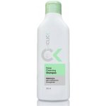 TianDe FreshClick Šampon 250 ml – Zboží Dáma