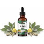 Nature's Answer Divizna velkokvětá bylinné kapky 30 ml – Hledejceny.cz