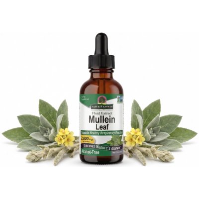 Nature's Answer Divizna velkokvětá bylinné kapky 30 ml – Hledejceny.cz