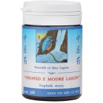 TCM Herbs Vodopád z modré laguny 100 tablet – Hledejceny.cz