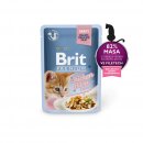 Brit Kitten Premium Fillets in Gravy for with Chicken 85 g