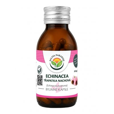 Salvia Paradise Echinacea třapatka nachová kapsle 60 ks – Hledejceny.cz