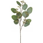 GASPER Větvička eukalyptu 52 cm – Hledejceny.cz
