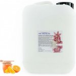 PM Aqualog esence do parních kabin pomeranč-med 860-005/D 5 l – Hledejceny.cz
