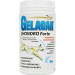 Gelacan Chondro Forte plv 500 g – Hledejceny.cz