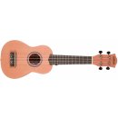 Ukulele Cascha Soprano Bundle