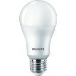 Pila žárovka LED 100W A65 E27 WW FR ND – Hledejceny.cz
