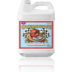 Advanced Nutrients Overdrive 250 ml – Zboží Mobilmania