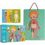 MiDeer magnetická tabulka Moje tělo – Zboží Dáma