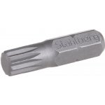 Bit 1/4" XZN M8 /25mm S2 STAHLBERG – Zboží Dáma