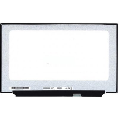 N173HCE-G33 displej 1920x1080 IPS 144Hz 40pin – Zboží Živě