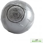 Planet Dog Orbee-Tuff® DIAMOND Ball Ocelový 8 cm – Sleviste.cz