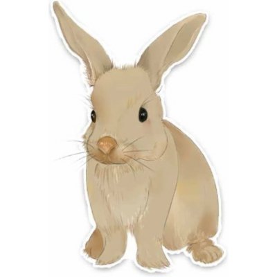 Samolepka (na auto, notebook) zajíc (4) – Zboží Živě