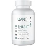 NutriWorks Shilajit 300 mg 60 kapslí – Hledejceny.cz