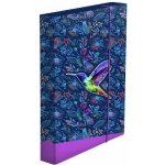 Karton P+P A5 Jumbo Kolibřík 8-72423 – Zboží Dáma