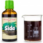 Bylinné kapky Sida nať tinktura 50 ml – Hledejceny.cz