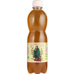 Stevikom Kombucha Meduňka 0,5 l – Zboží Dáma