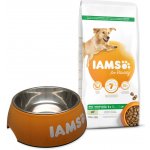 Iams Dog Adult Large Lamb 12 kg – Hledejceny.cz