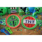 Godan Talíře papírové Minecraft Příští generace 23 cm – Hledejceny.cz