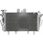 4 RIDE chladič, chlazení motoru TRIUMPH TIGER 1050 SE (ABS), SE, (SPORT), (ABS) 06-18 – Hledejceny.cz