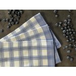 Sleep-well Kostka velká 50x70 cm modrá 3 ks – Sleviste.cz