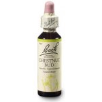 Bachovy květové esence Kaštan koňský poupě Chestnut Bud 20 ml – Hledejceny.cz