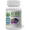 Doplněk stravy na spánek a nervovou soustavu Euphoria CBD Gummies bonbóny Mix 375 mg CBD 15 ks x 25 mg