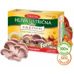 Terezia Company Hlíva ústřičná s Reishi Forte 60 kapslí – Hledejceny.cz
