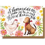 Chaukiss S kamarádem jako jsi ty, je svět hned krásnější – Hledejceny.cz