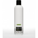 Caltha šampon Kopřiva s jílem 250 ml